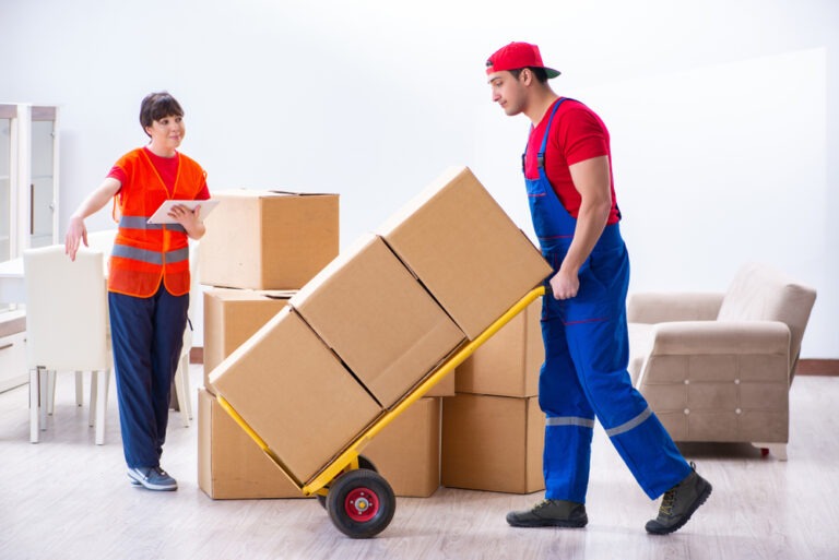 hire professional movers