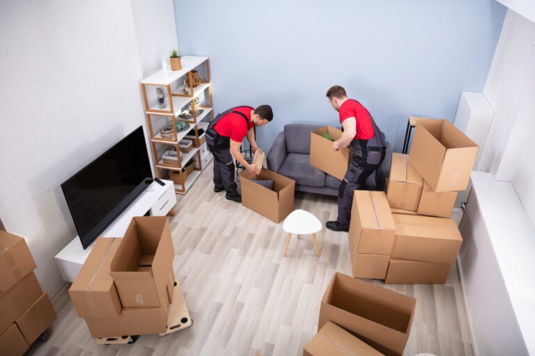 affordable dolores movers